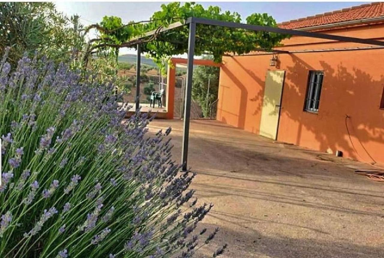 Cortijo Puente Alhama Villa Alhama de Granada Exteriör bild